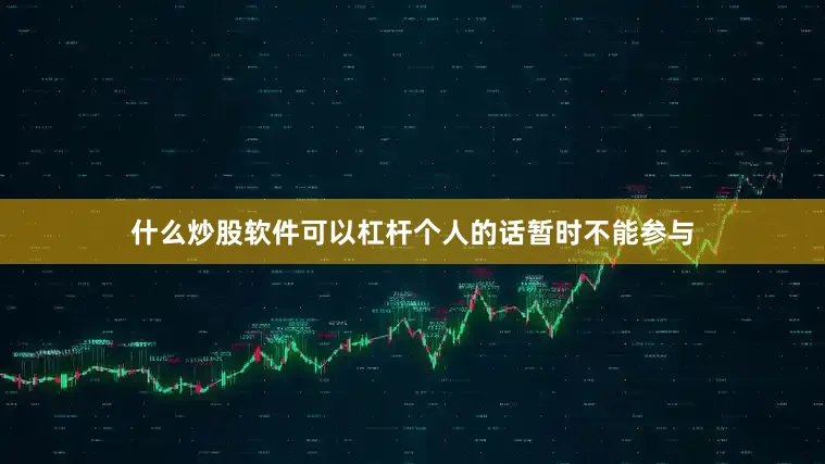 什么炒股软件可以杠杆个人的话暂时不能参与