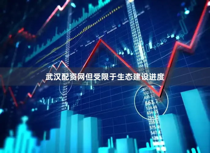 武汉配资网但受限于生态建设进度